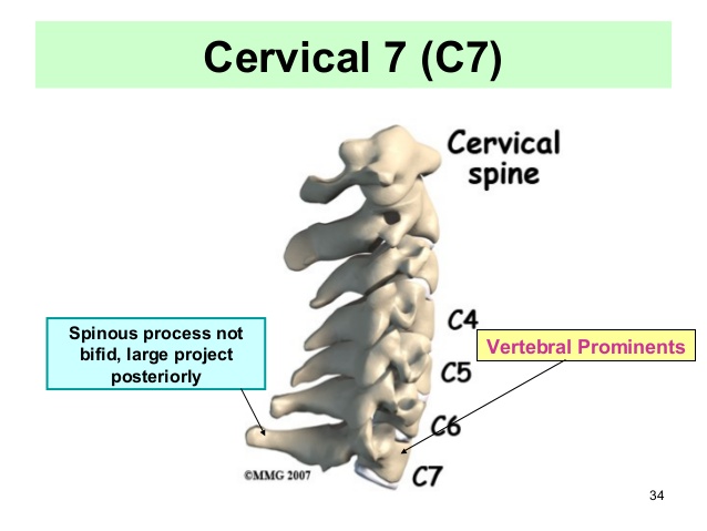 cervical-7